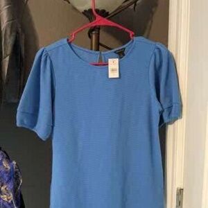 Ann Taylor Short Sleeve